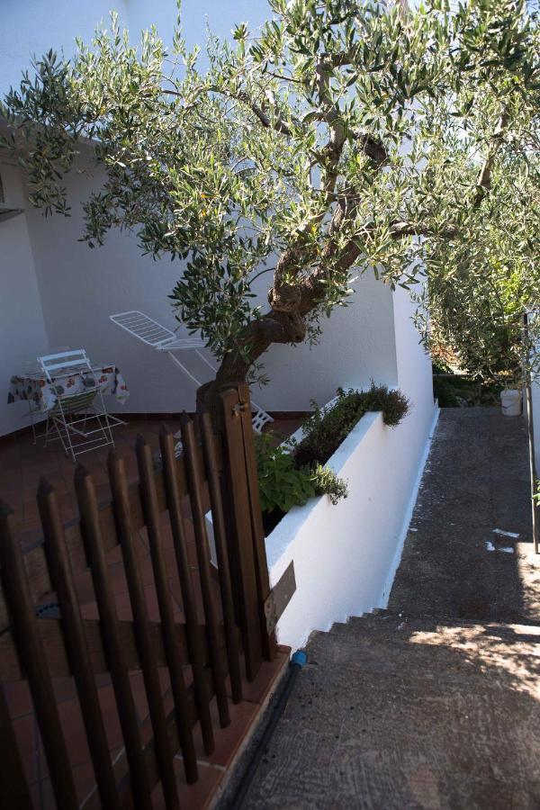 A Casa Di Giacomo Ostuni Exteriör bild
